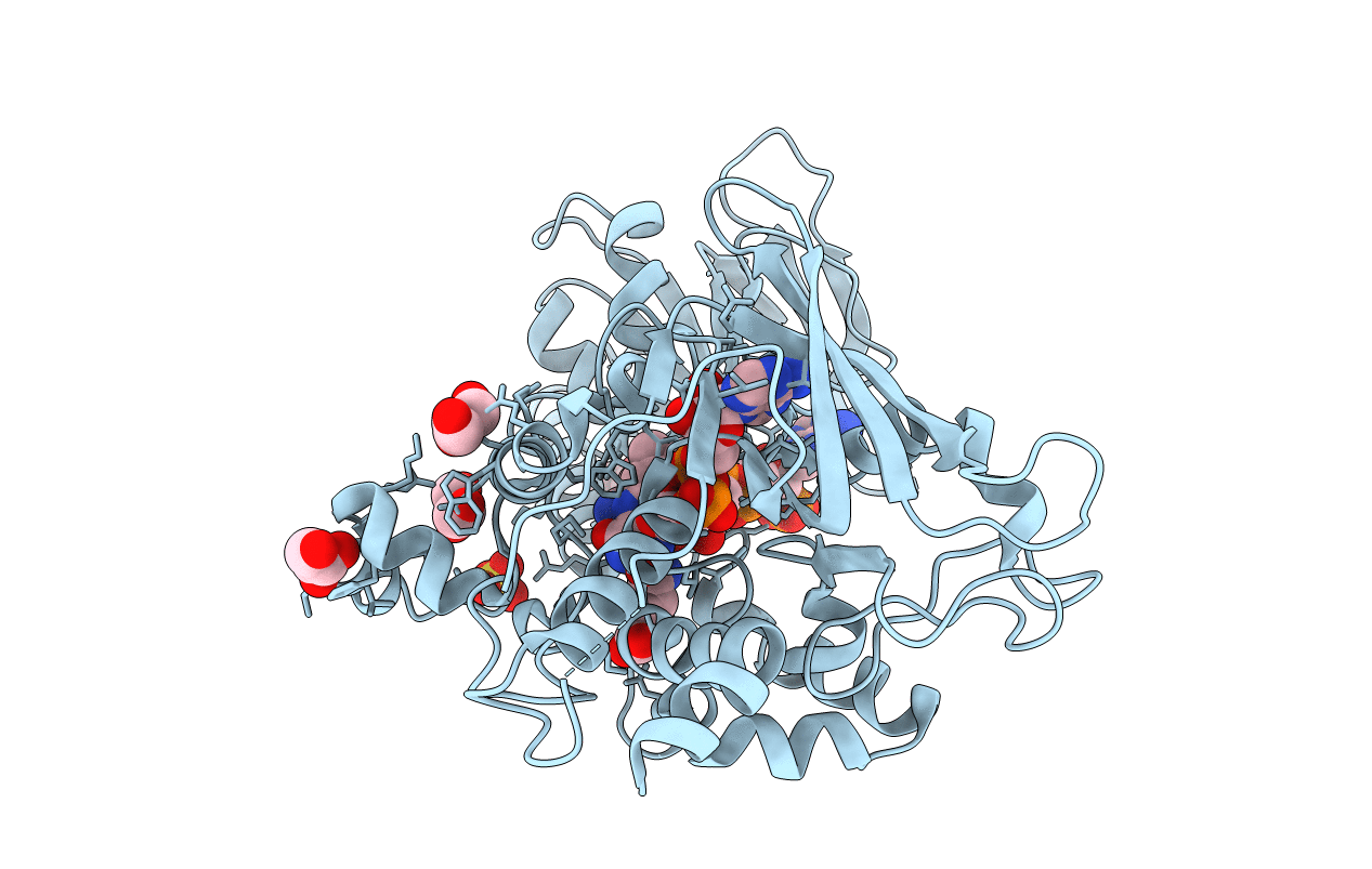 4B63 image