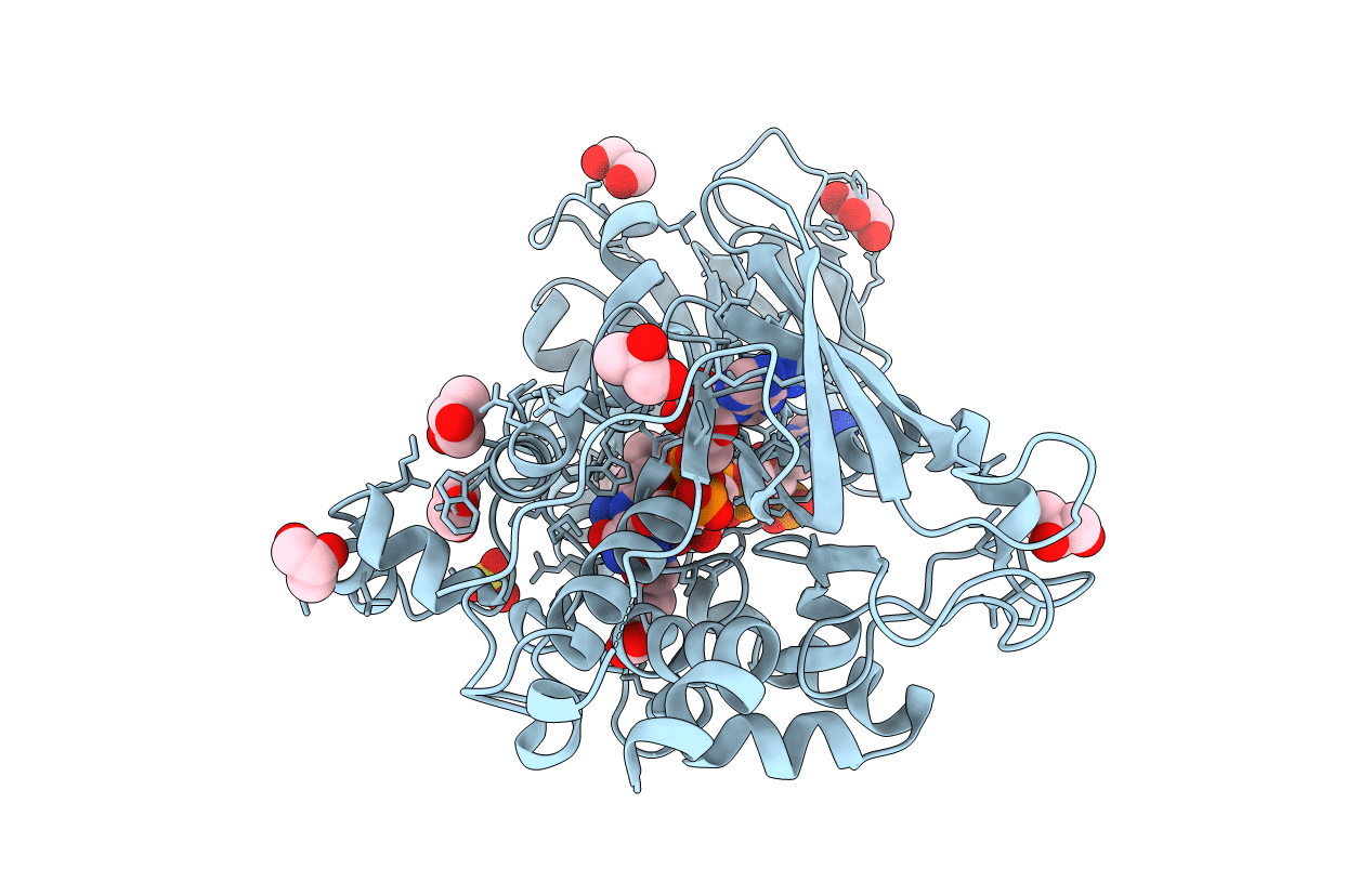 4B64 image