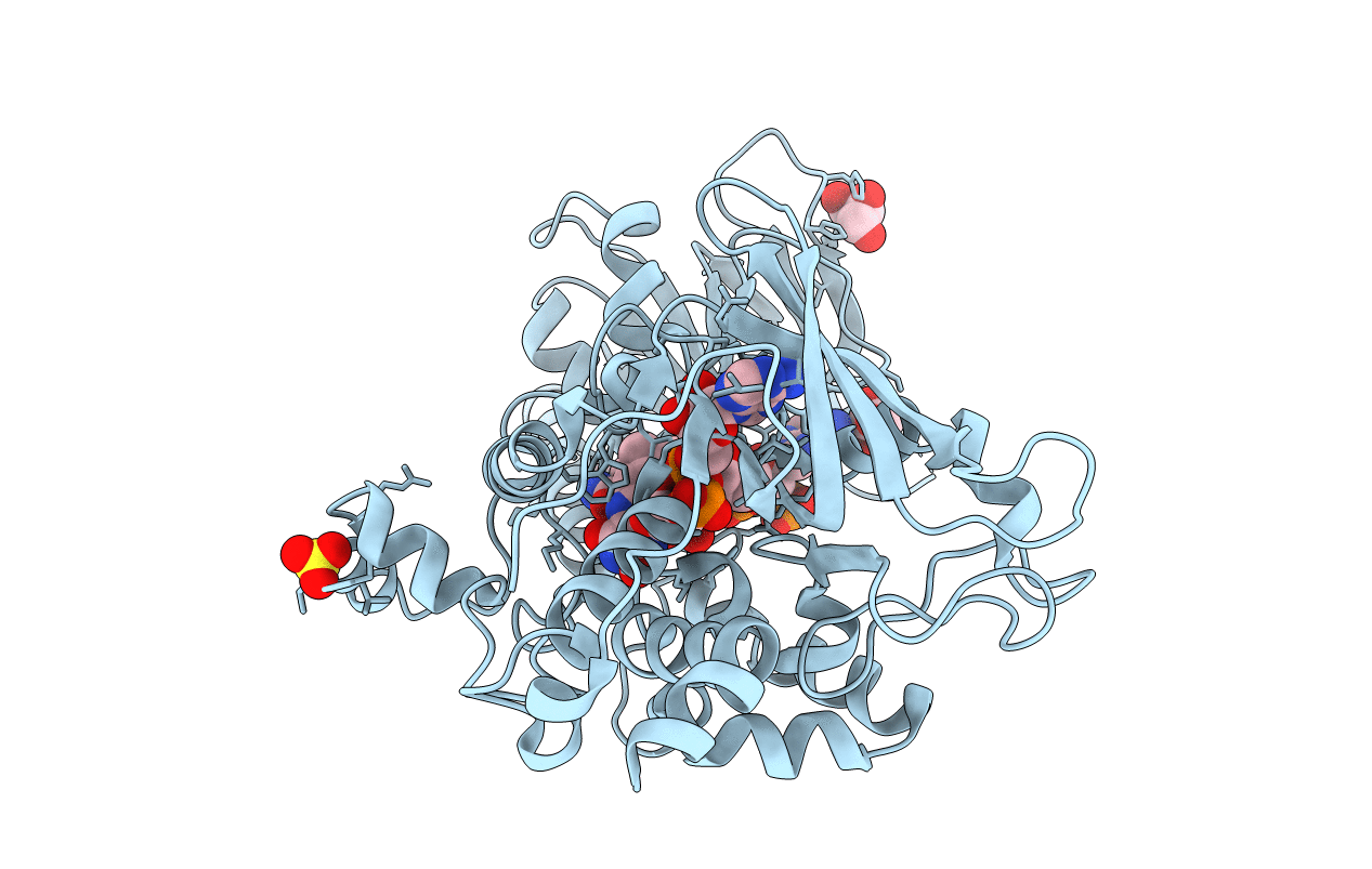 4B65 image