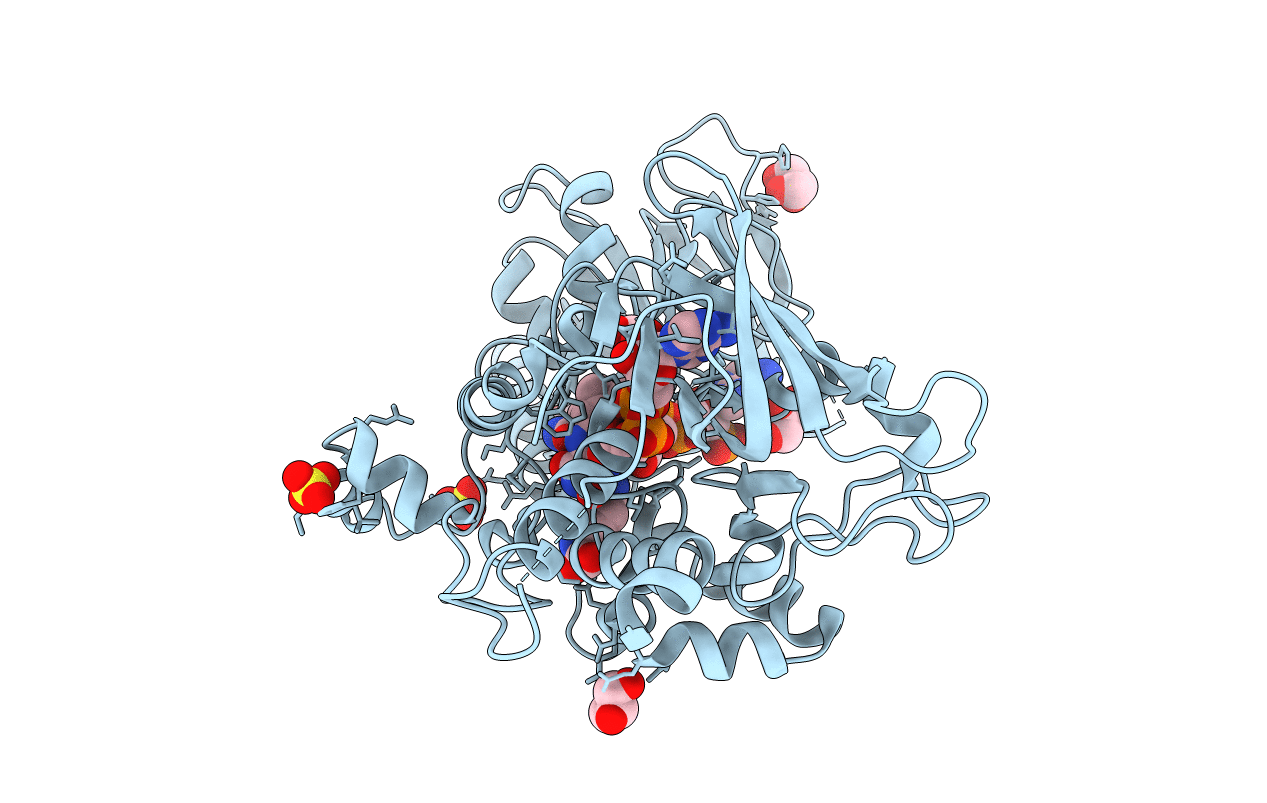 4B66 image