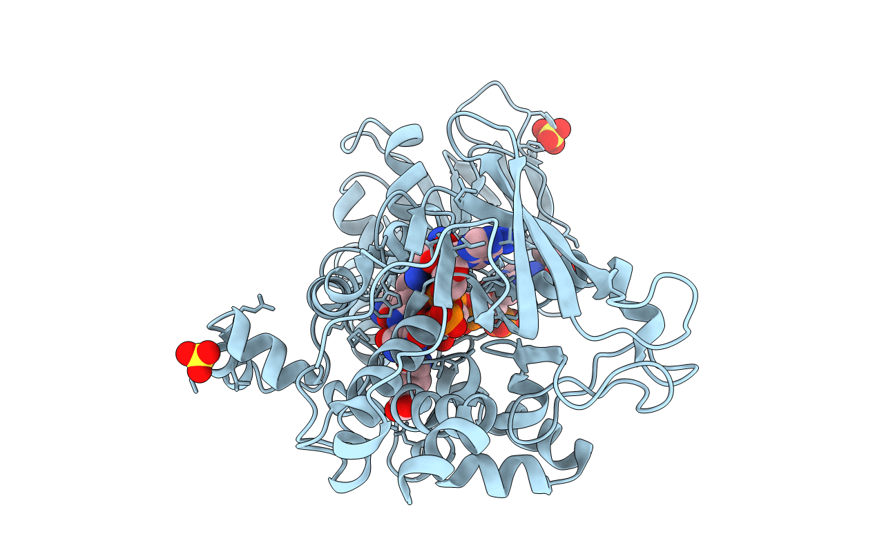 4B67 image