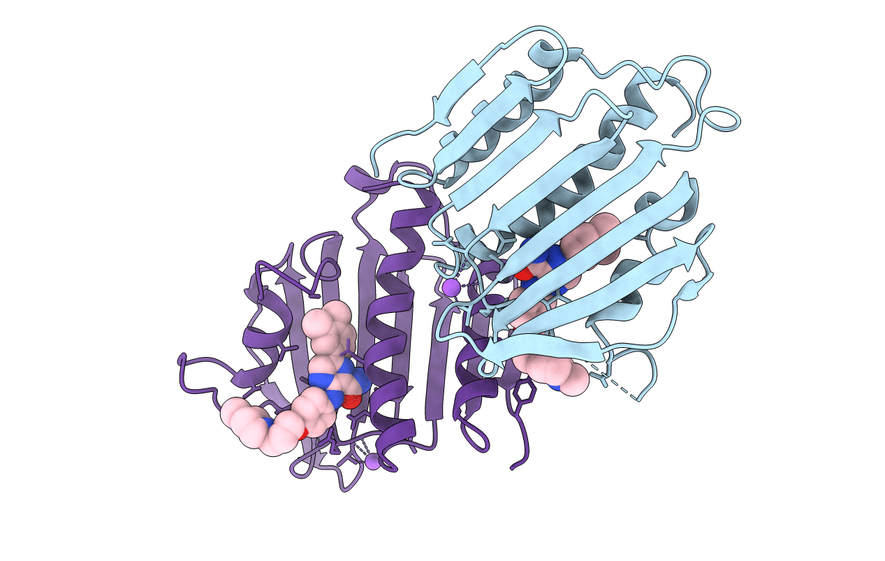 4B6C image
