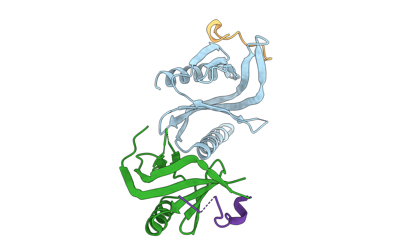 4B6H image