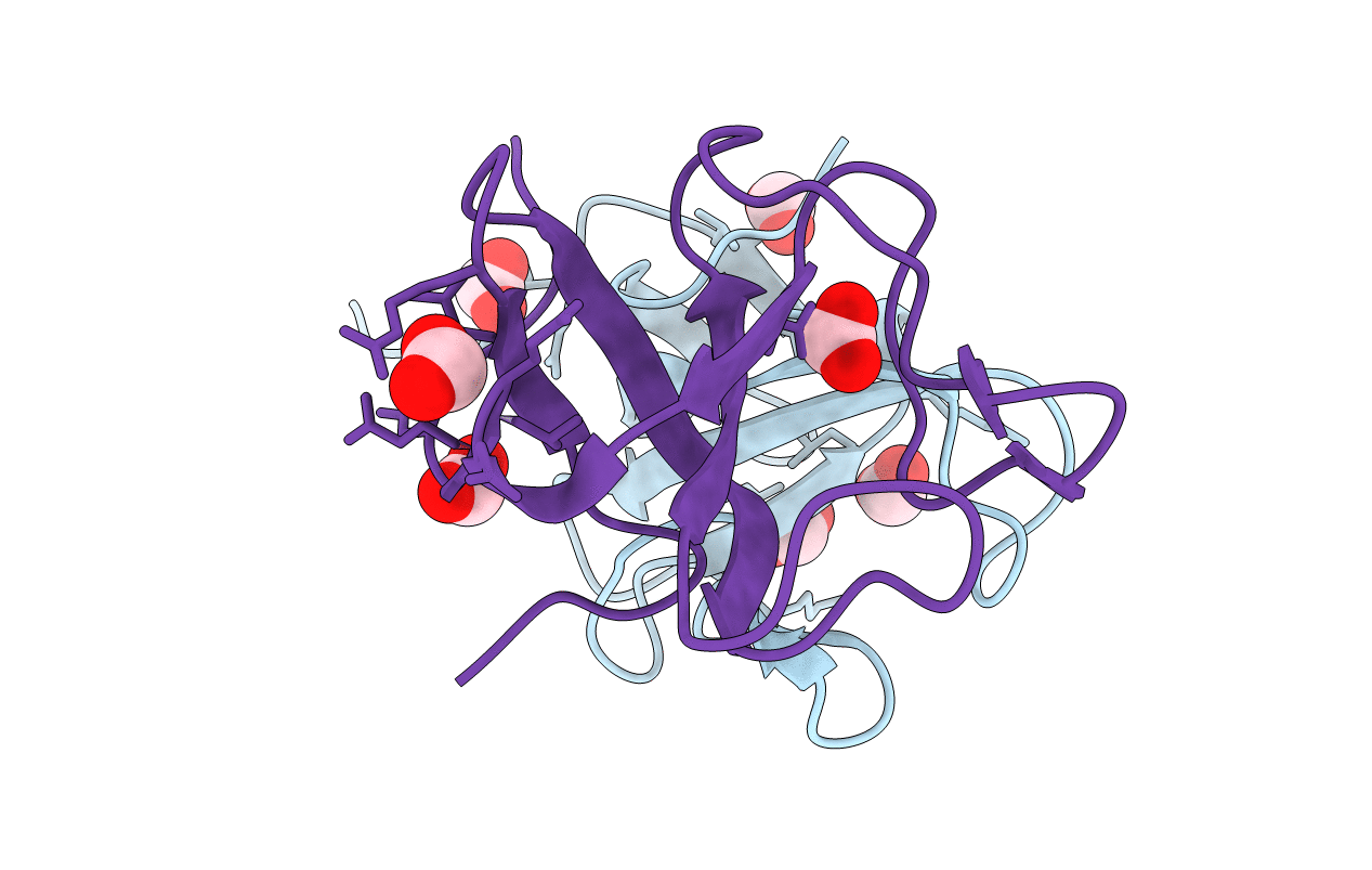 4B6M image