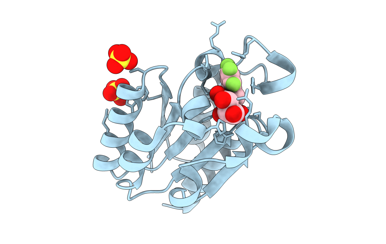 4B6P image