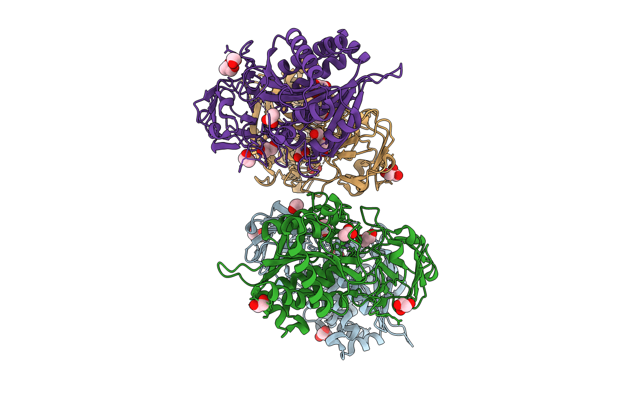 4B6Z image
