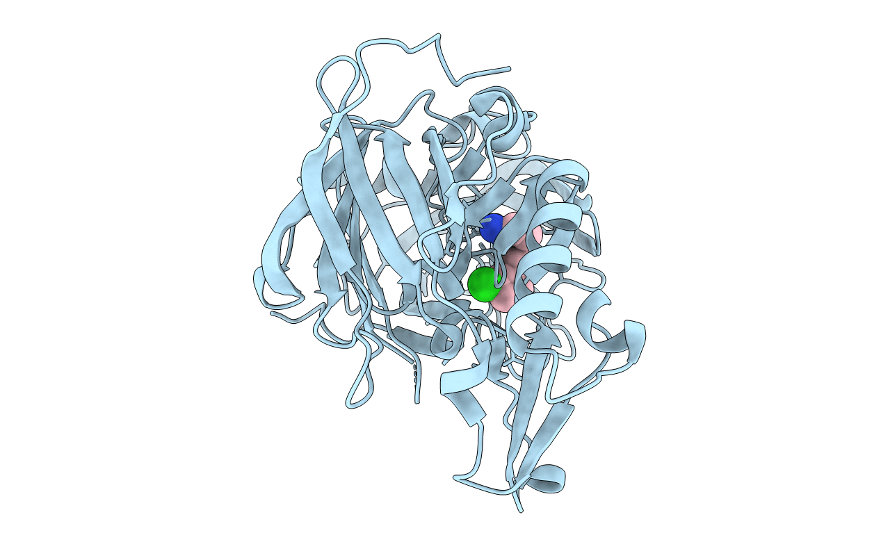 4B70 image