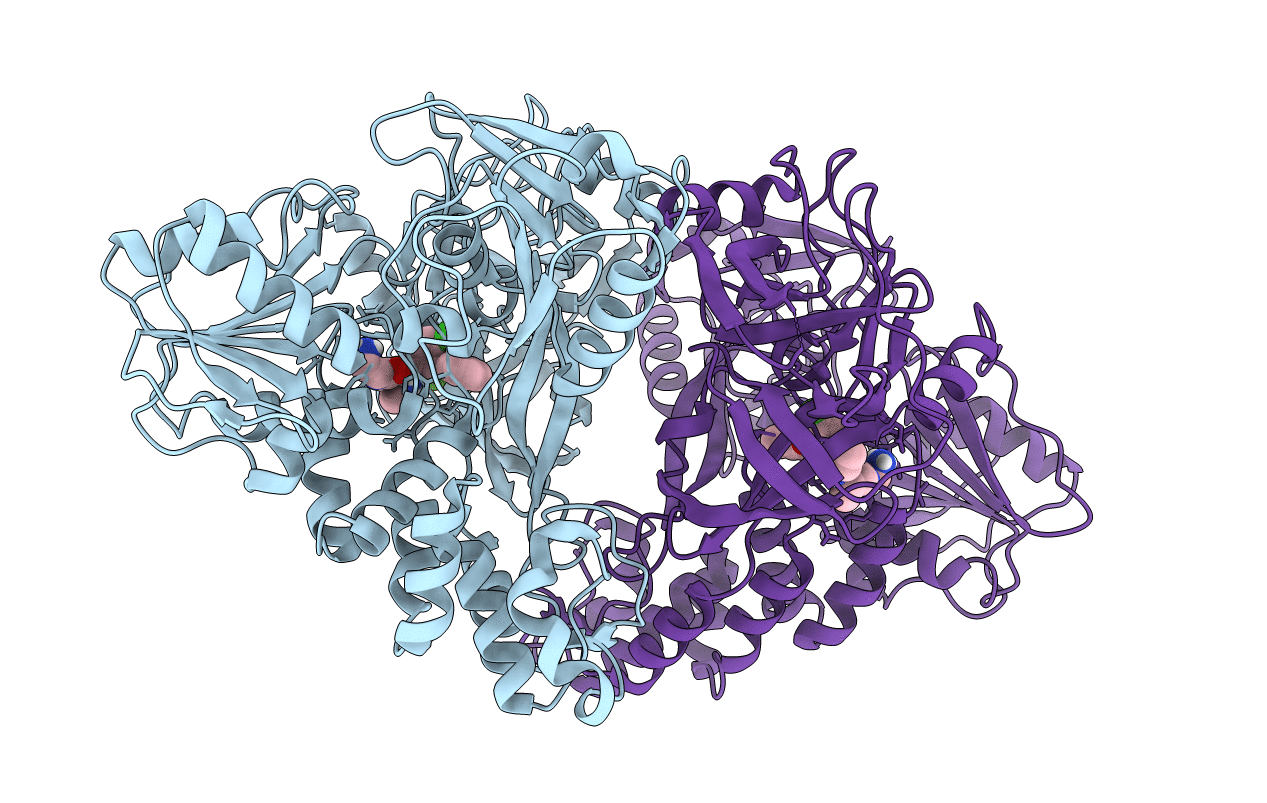 4B74 image