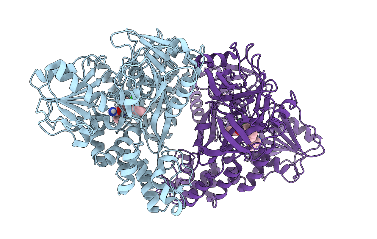 4B75 image