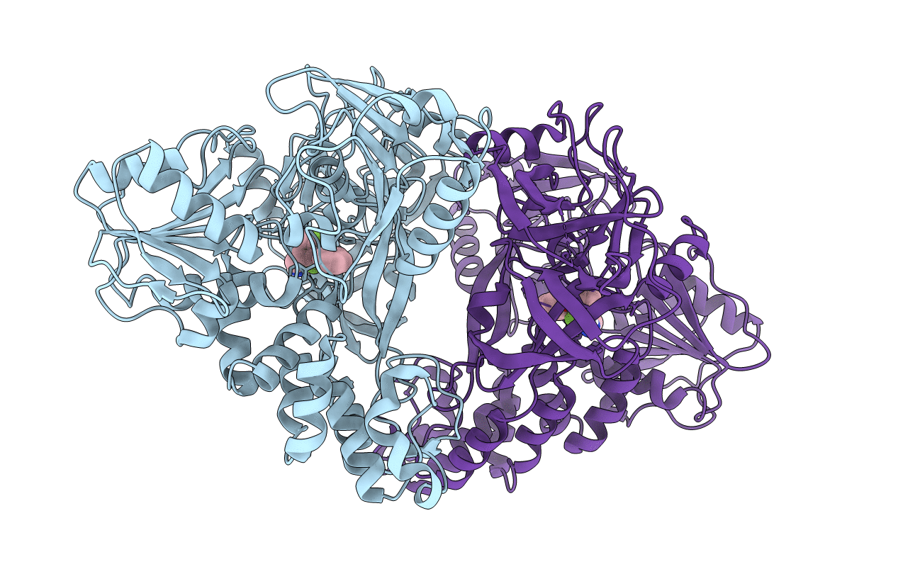 4B76 image