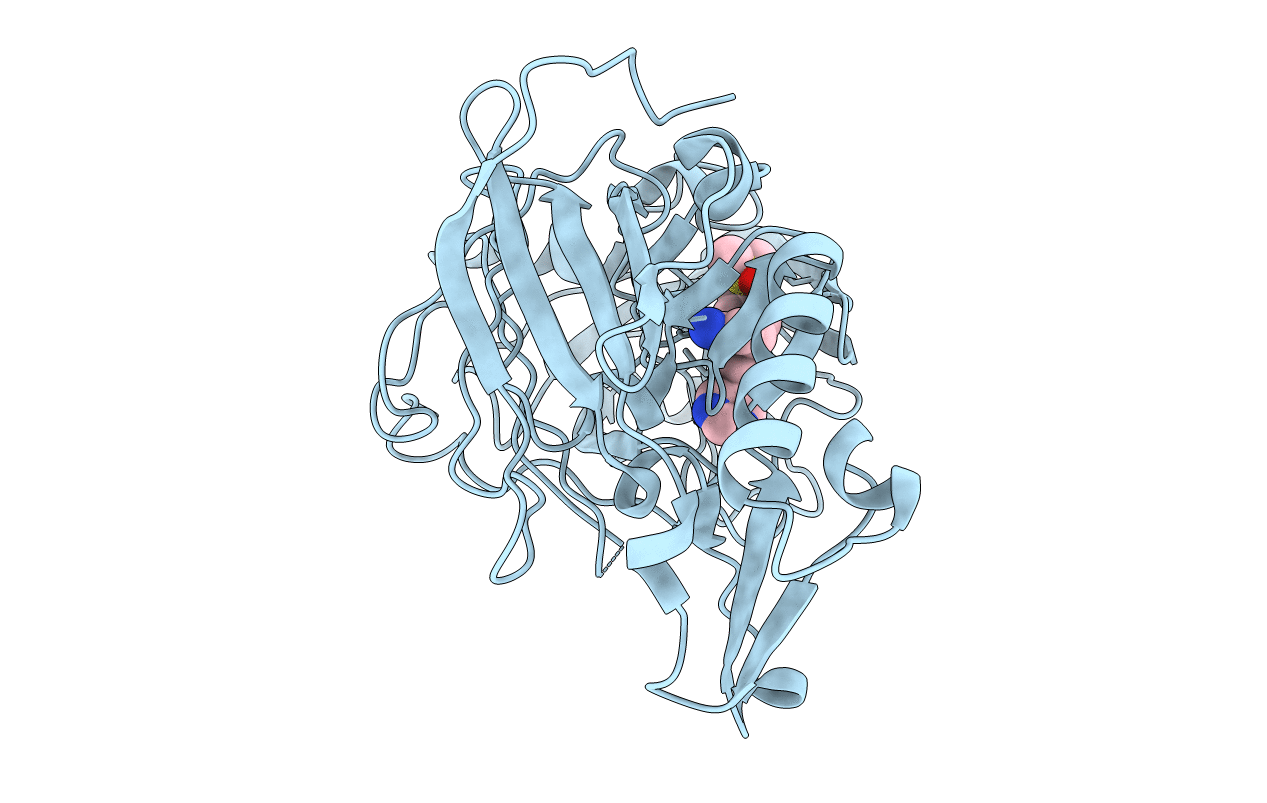 4B77 image