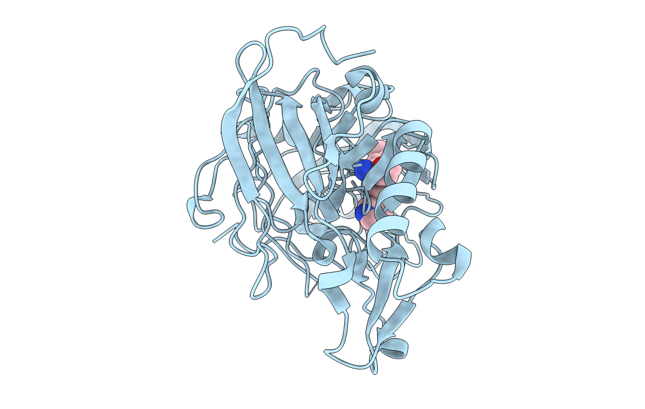 4B78 image