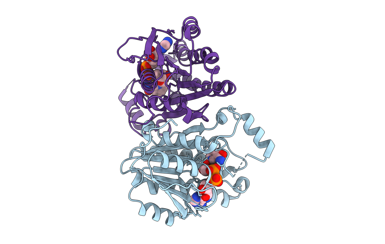 4B79 image