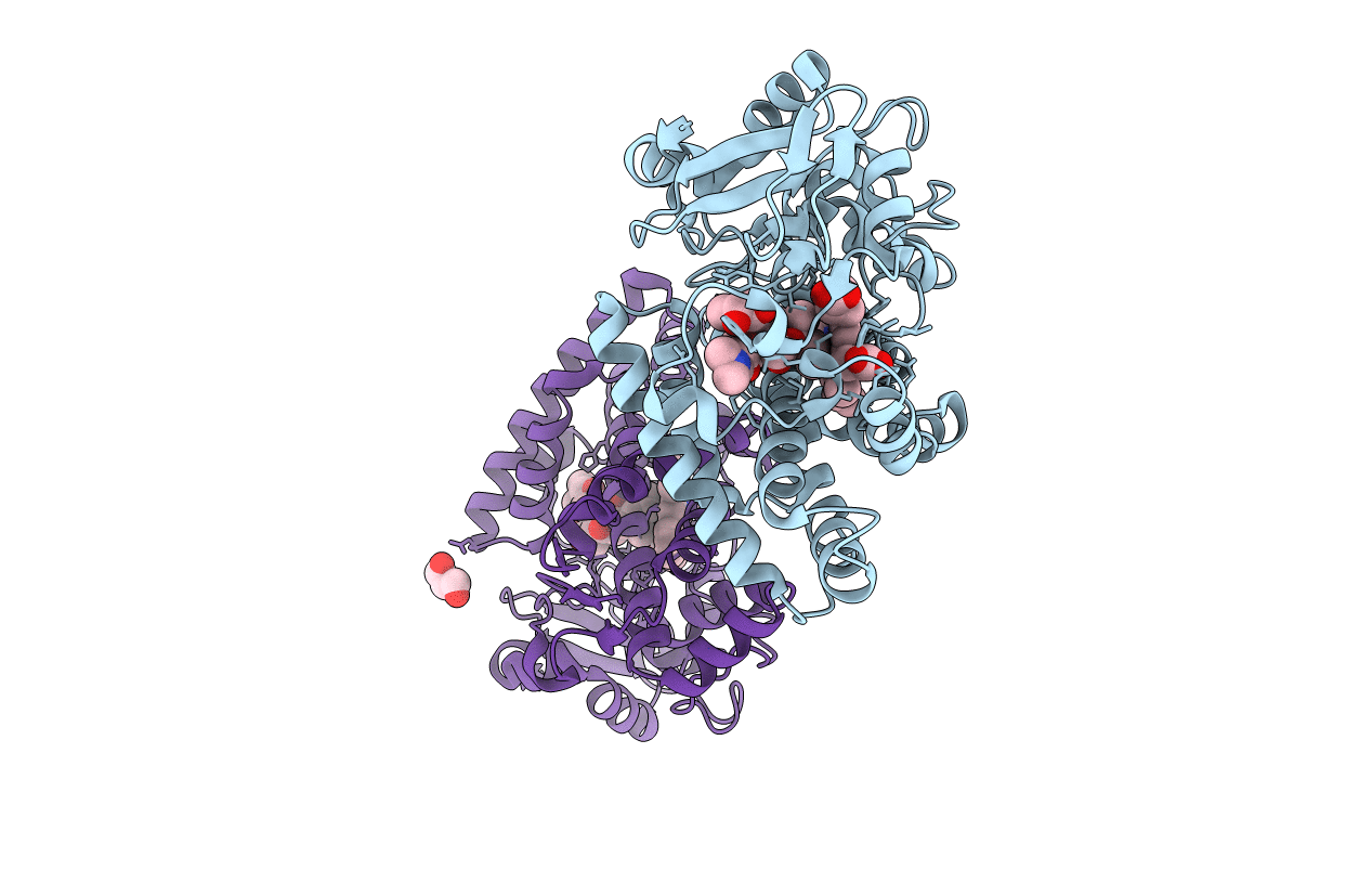 4B7D image