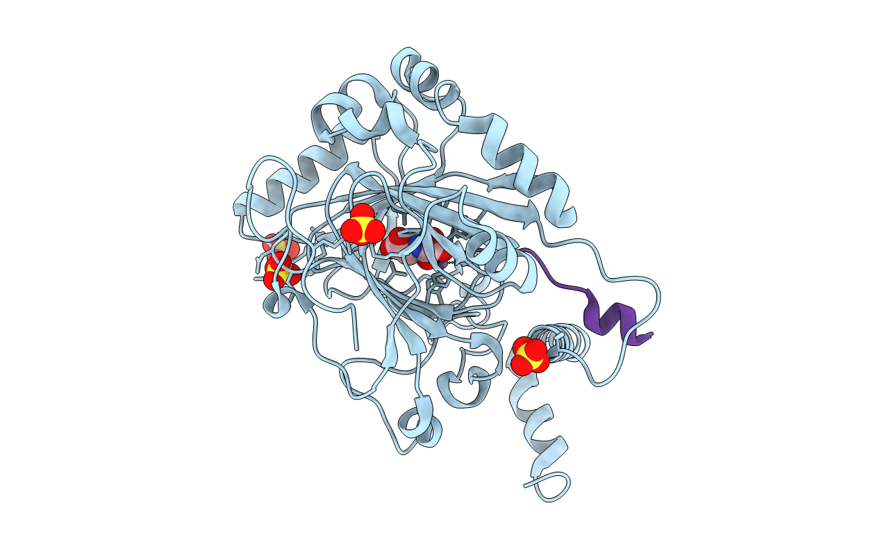 4B7K image