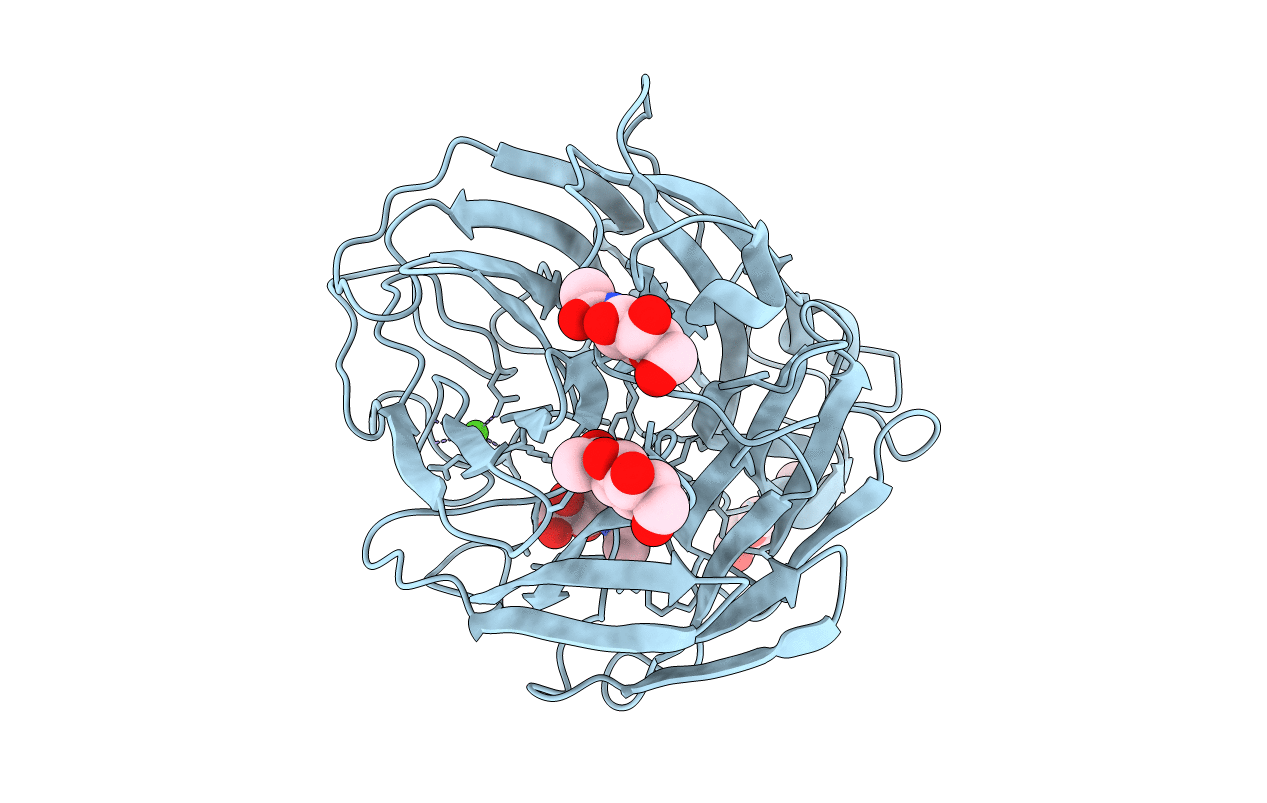 4B7N image