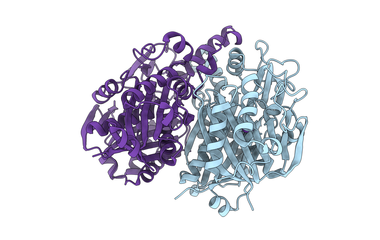 4B7V image