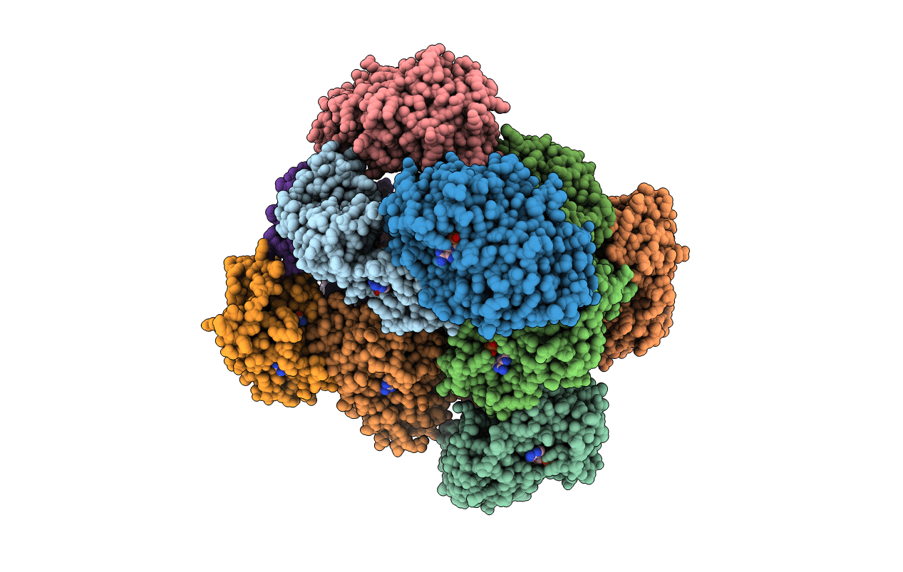 4B7X image