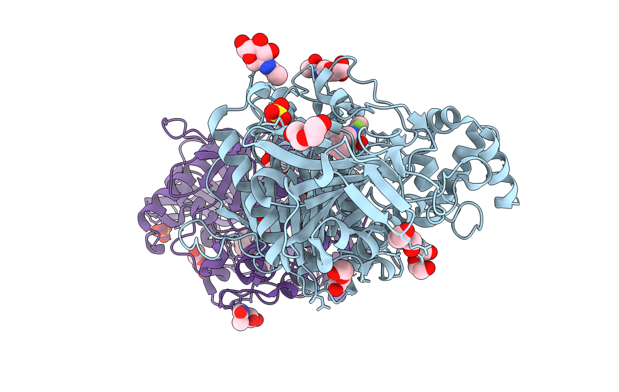 4B82 image