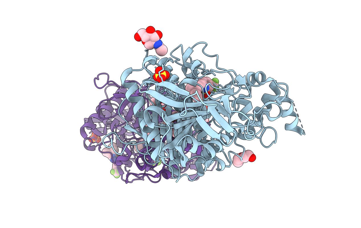 4B84 image