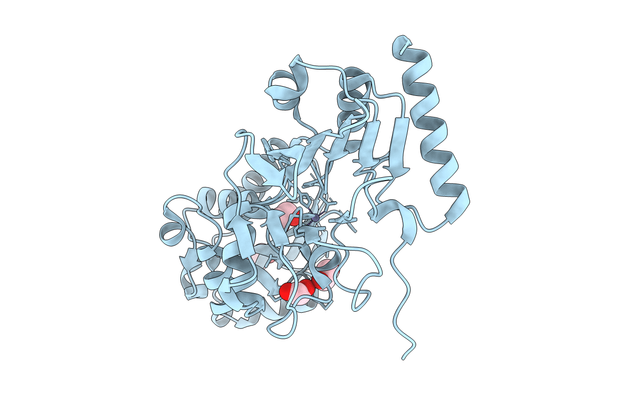 4B87 image