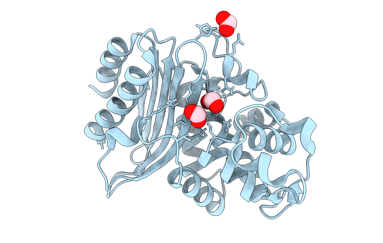 4B88 image
