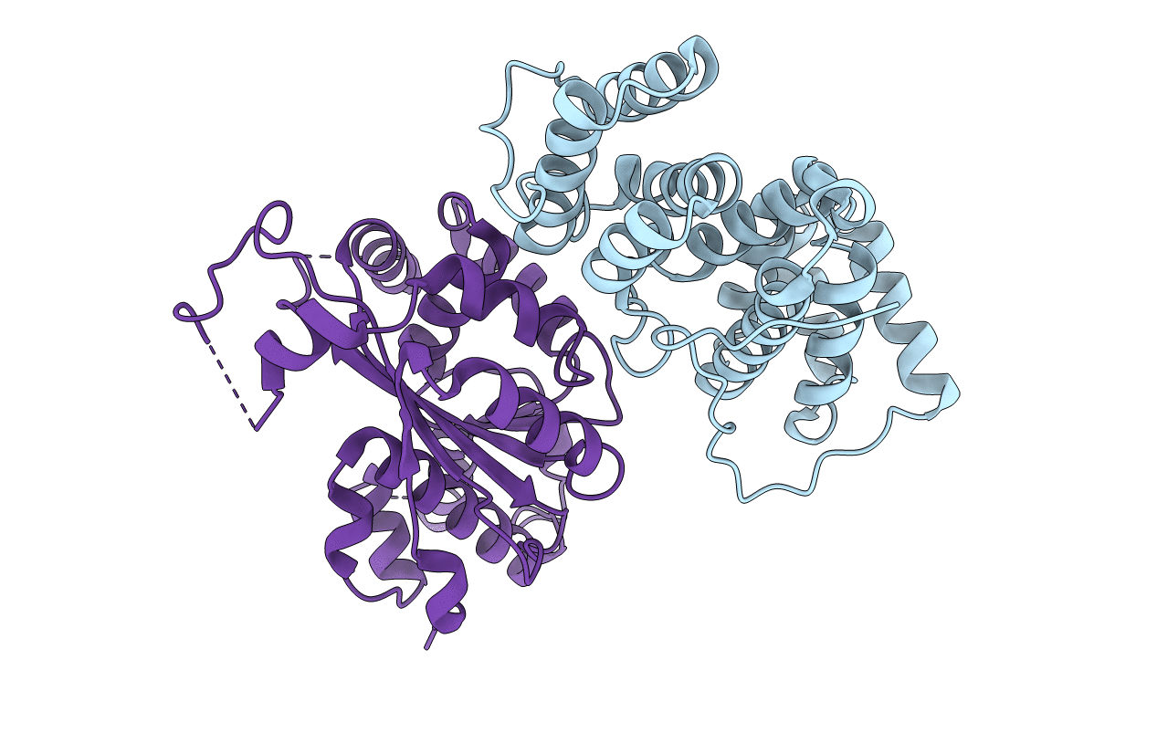 4B8A image