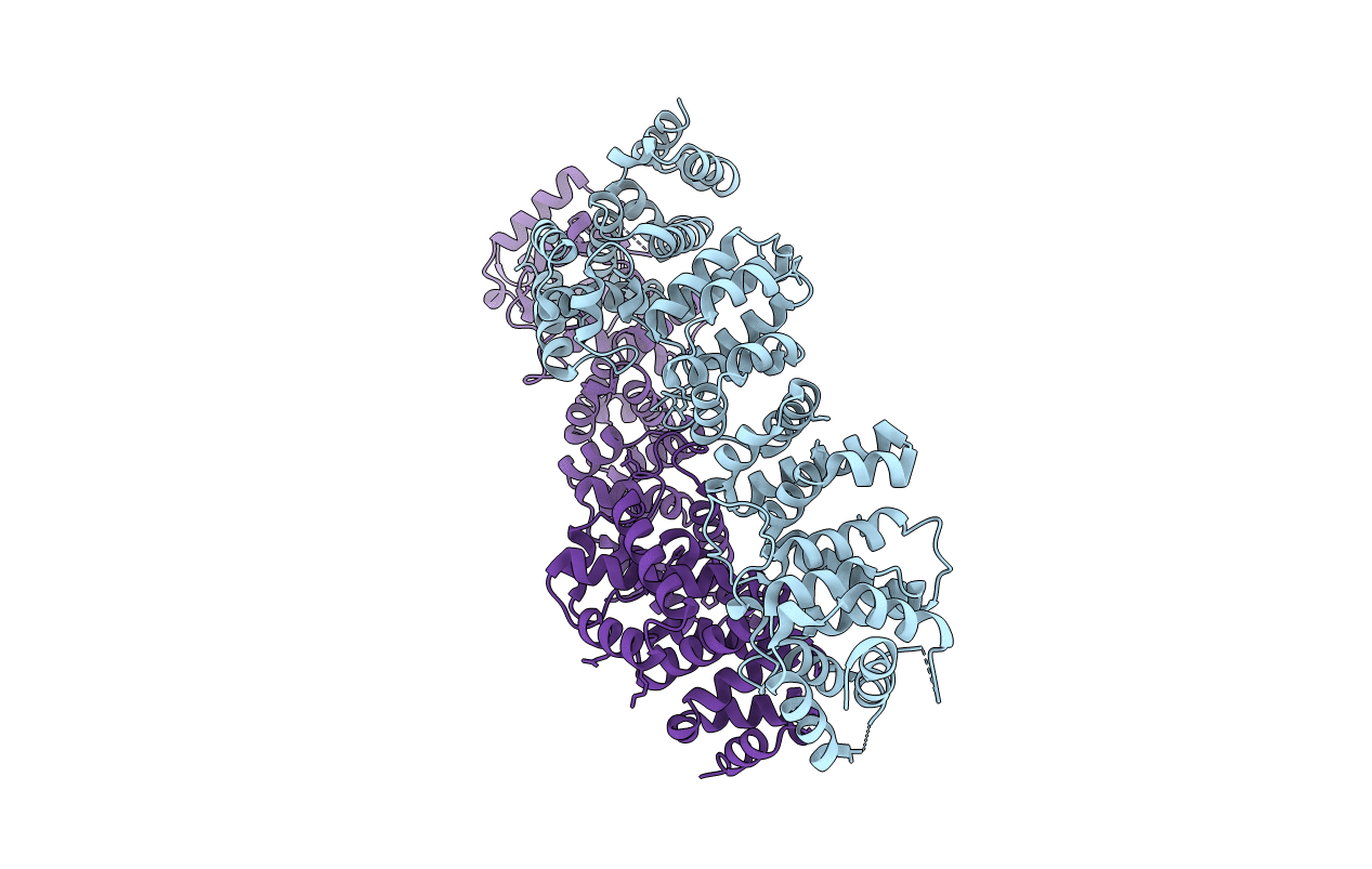 4B8B image