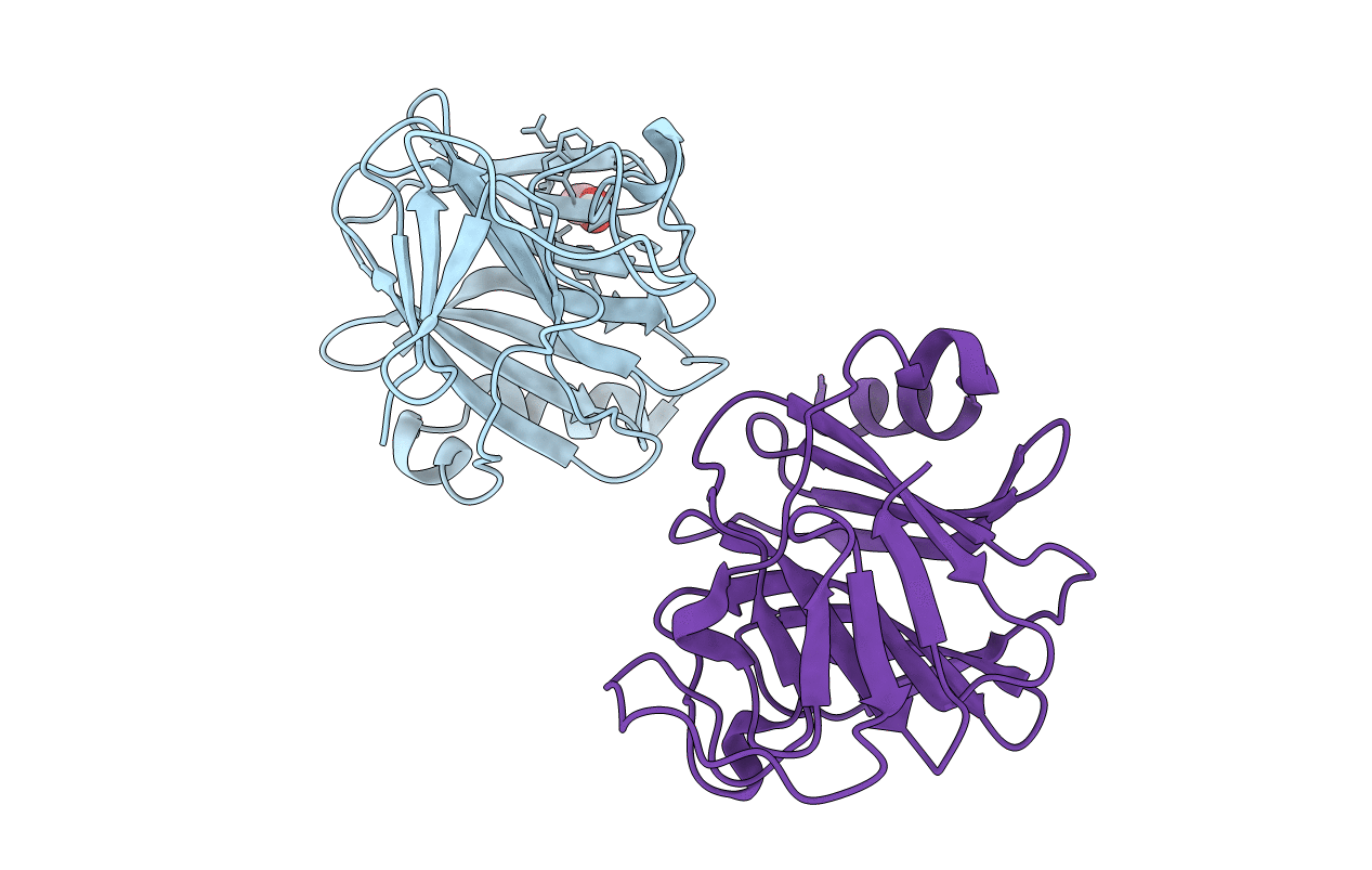 4B8E image