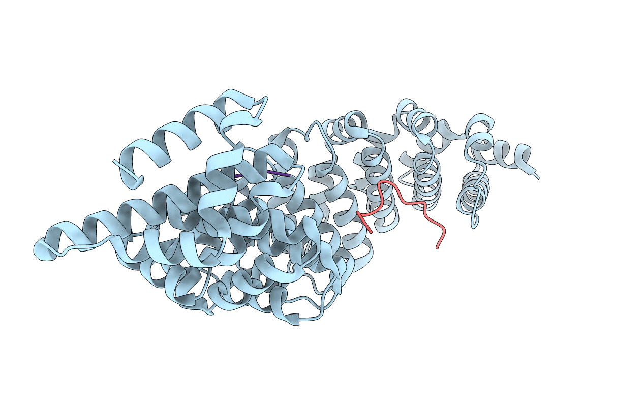 4B8O image