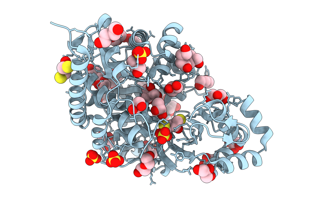 4B8R image