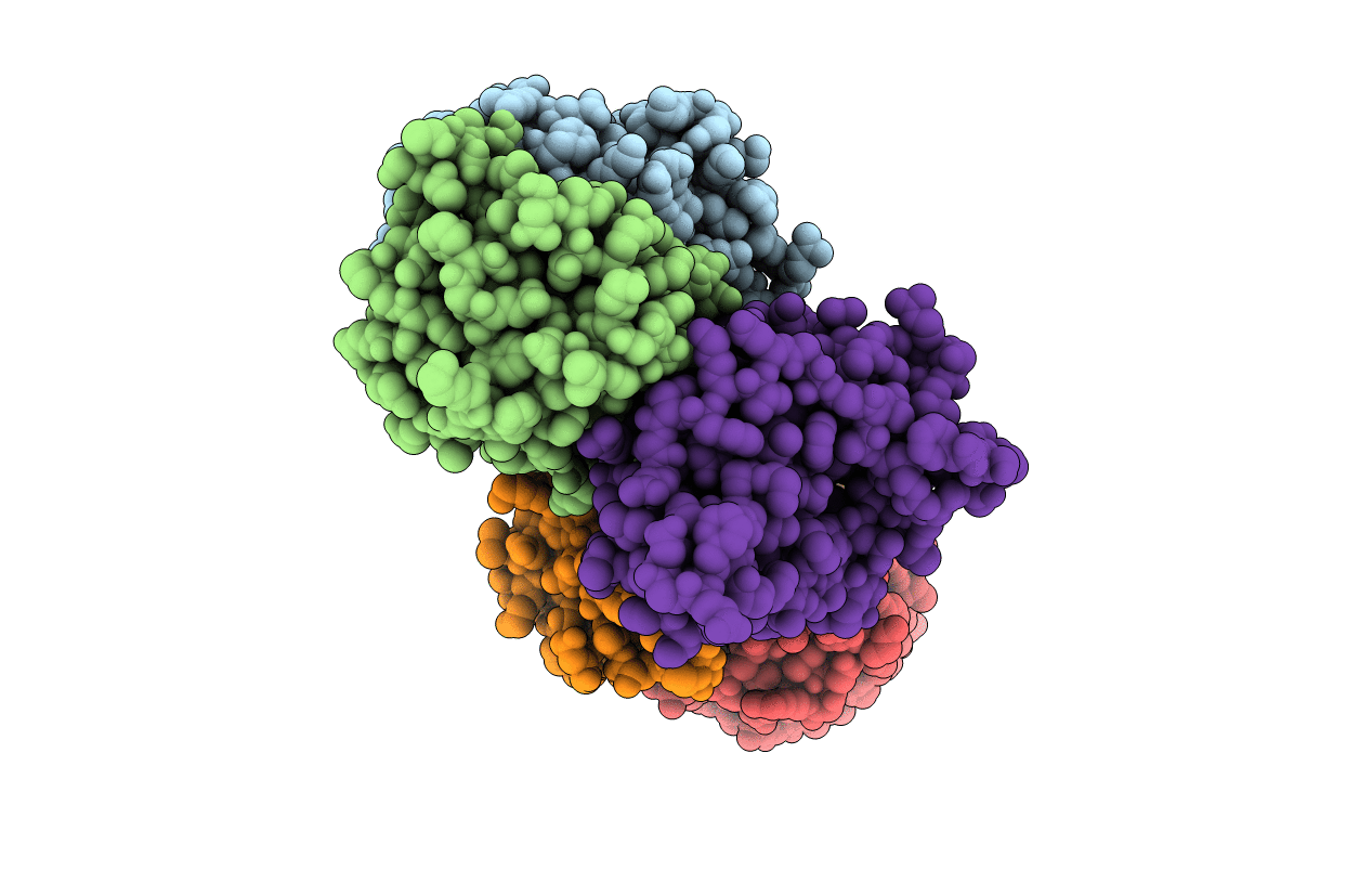 4B8U image