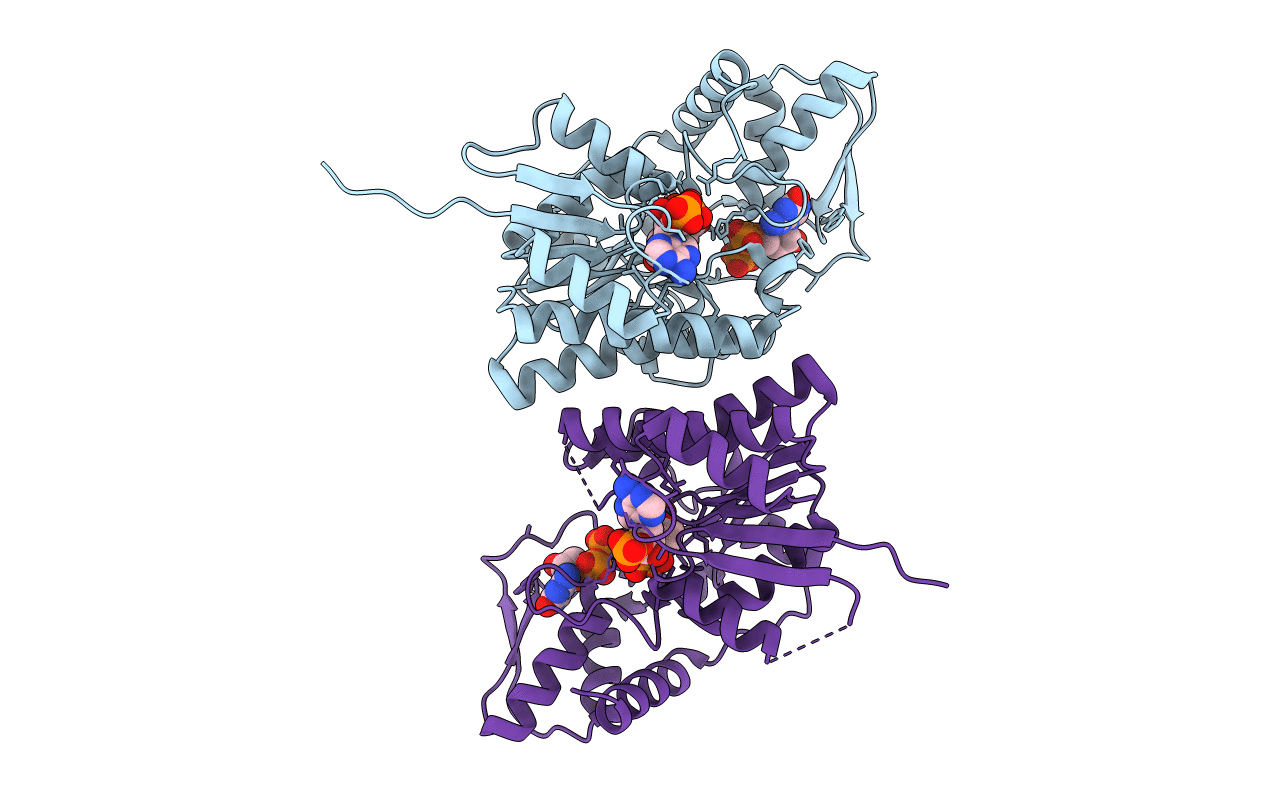 4B8W image