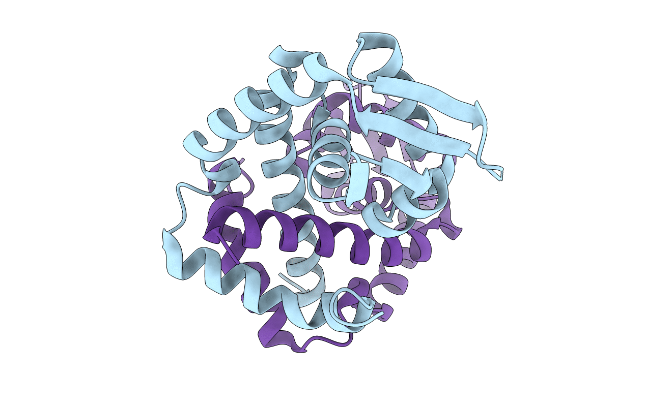 4B8X image