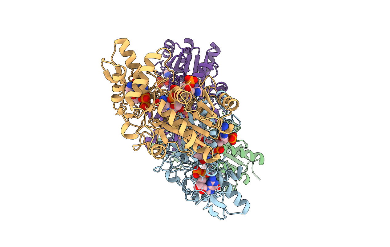 4B8Z image