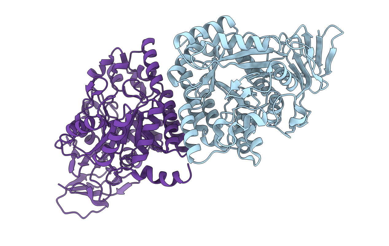 4B91 image