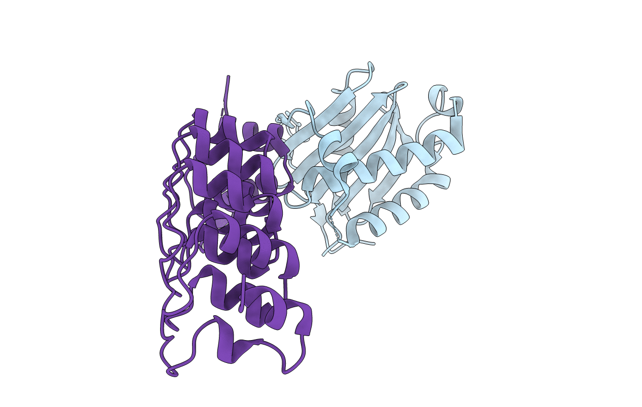4B93 image