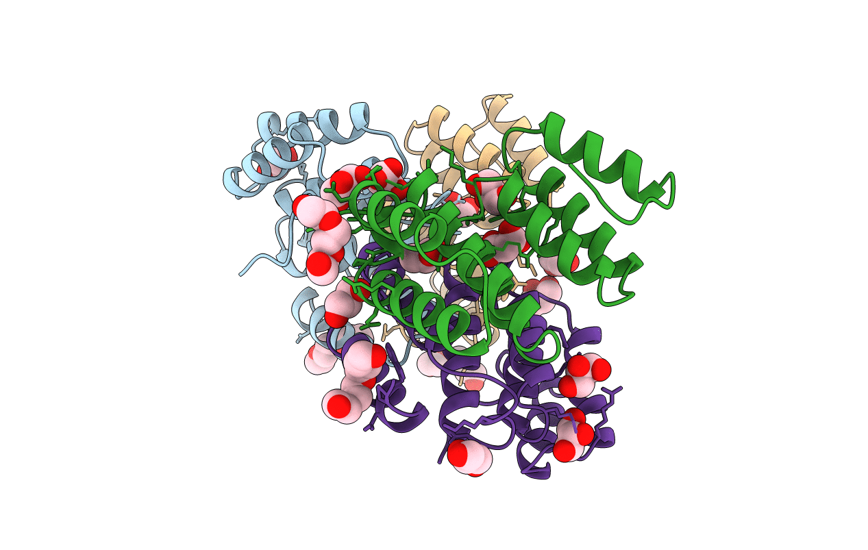 4B94 image