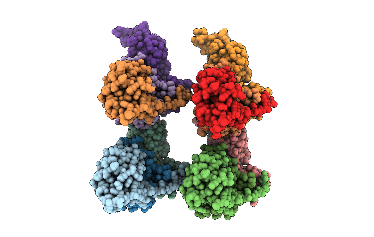4B95 image