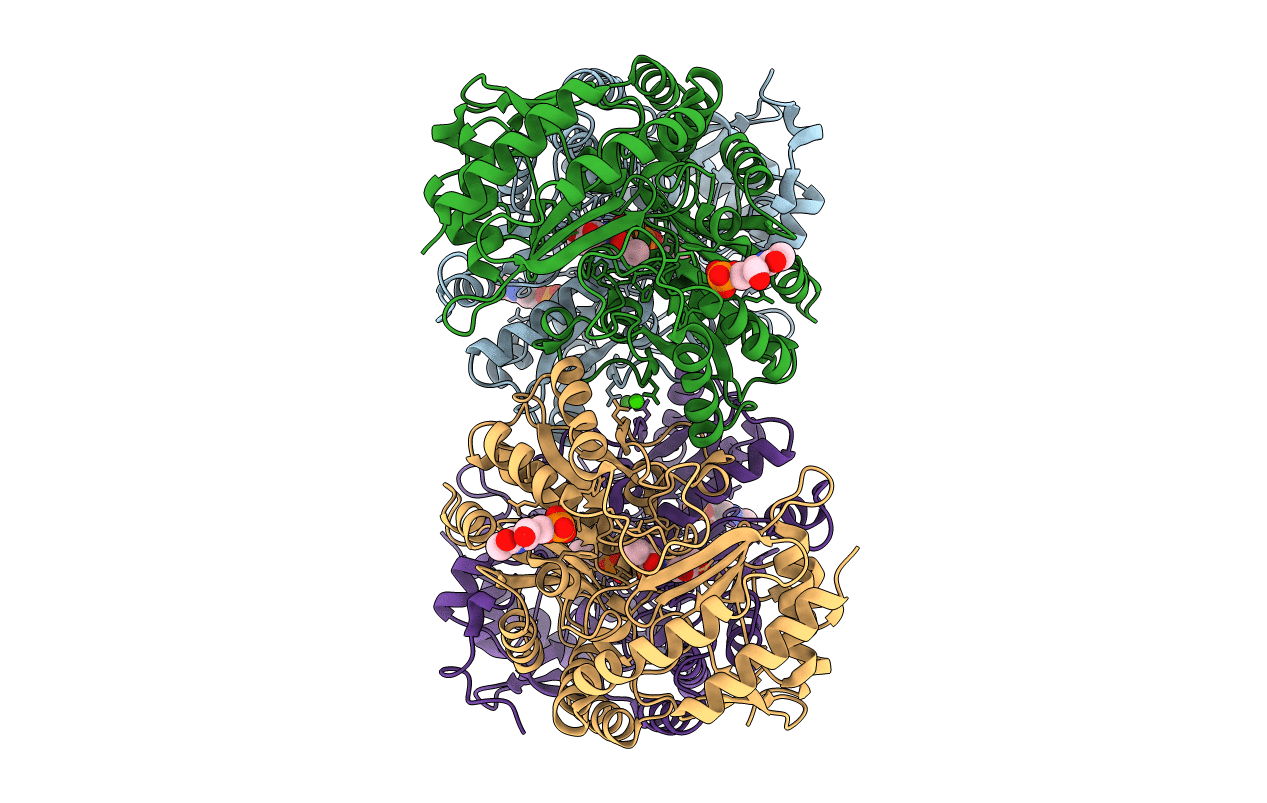 4B98 image