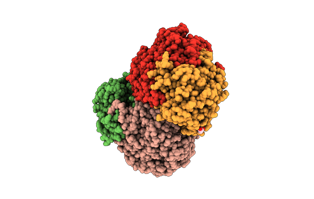 4B9B image