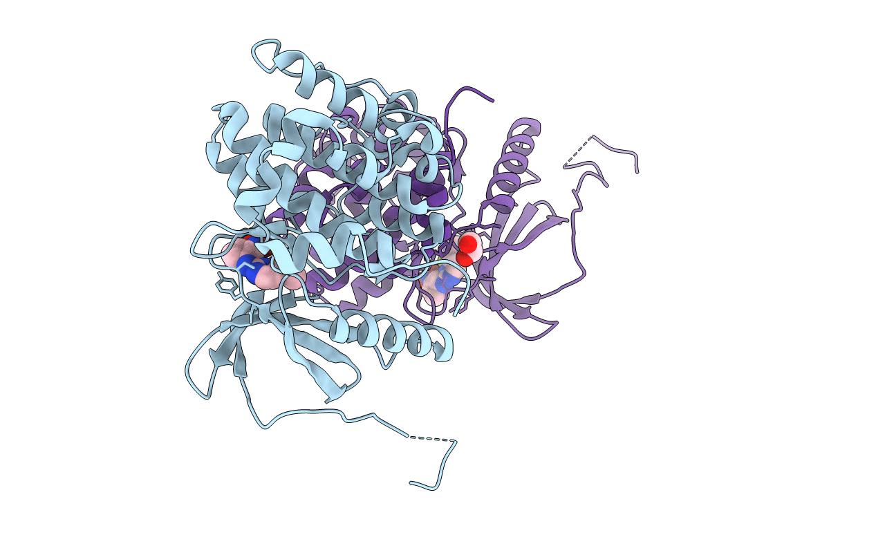 4B9D image