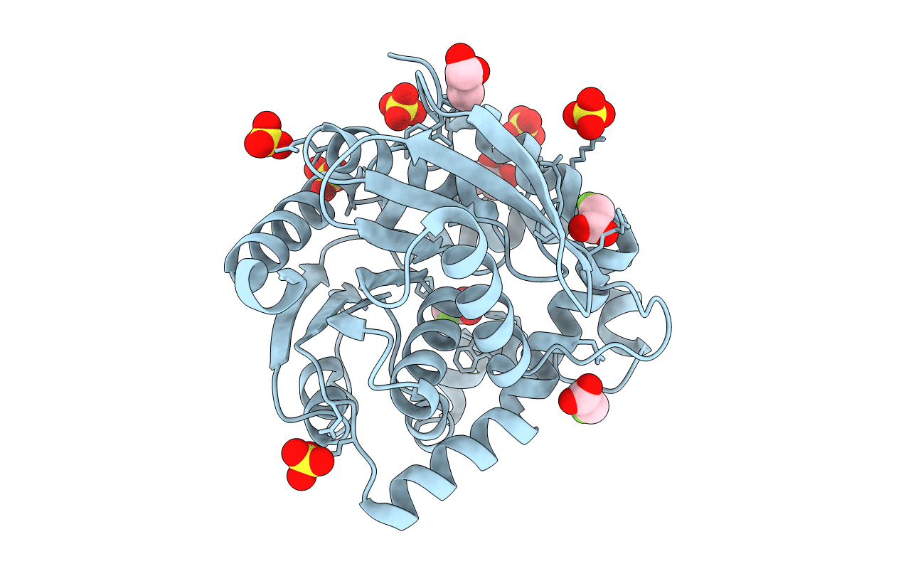 4B9E image