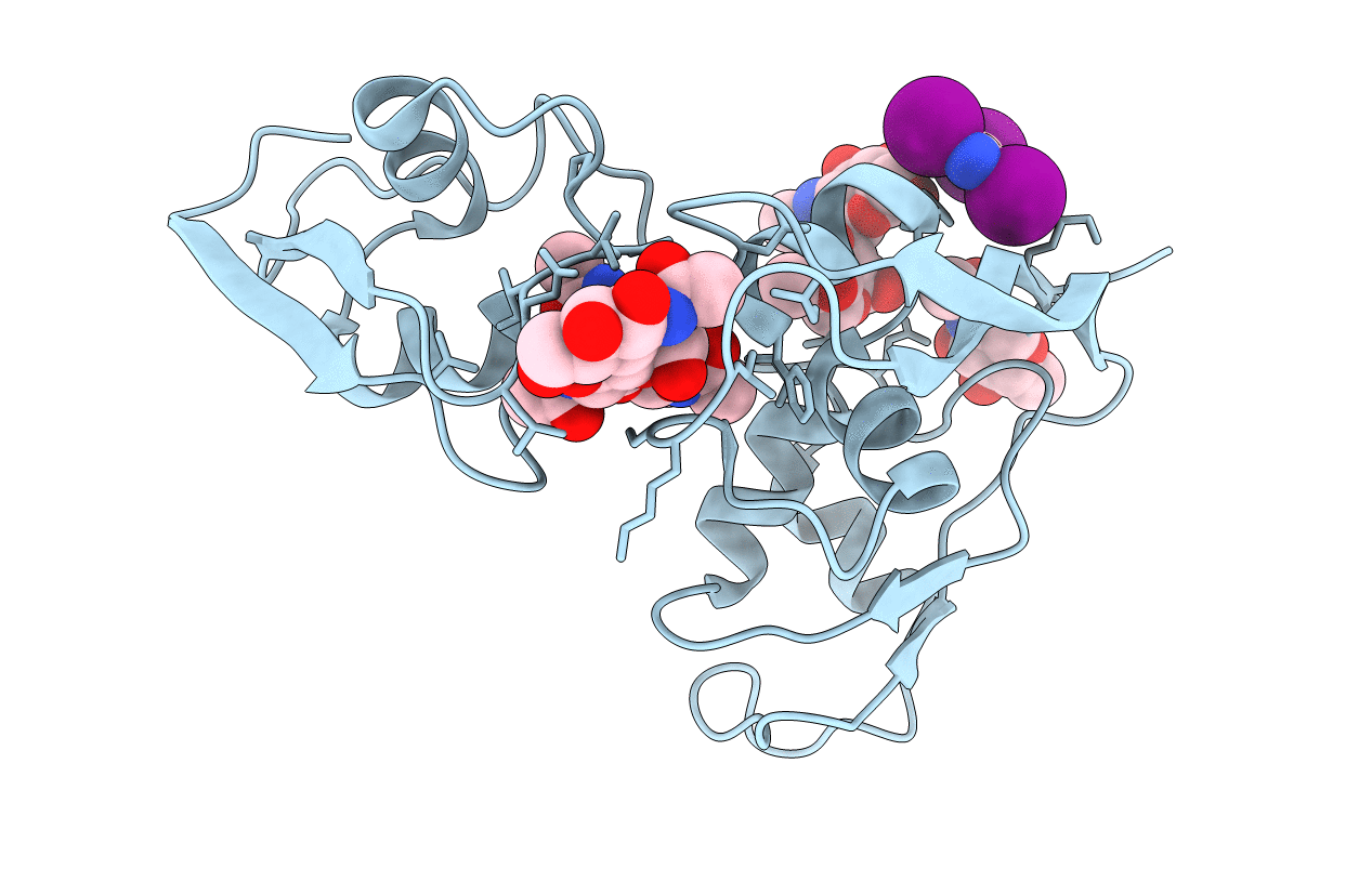 4B9H image
