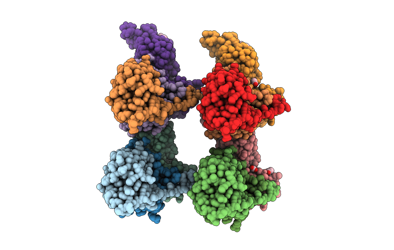 4B9K image