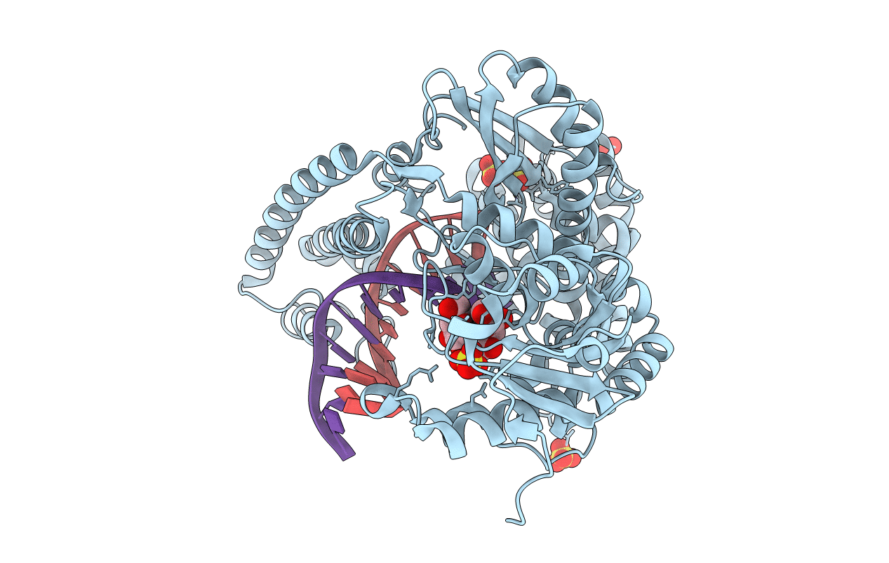 4B9N image