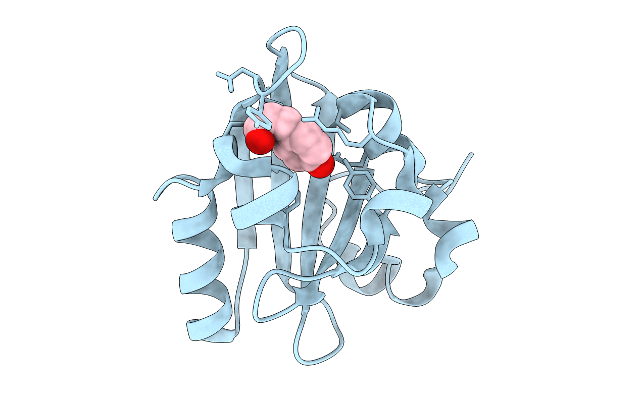 4B9O image