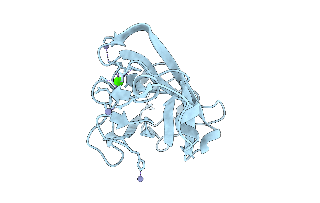 4B9P image