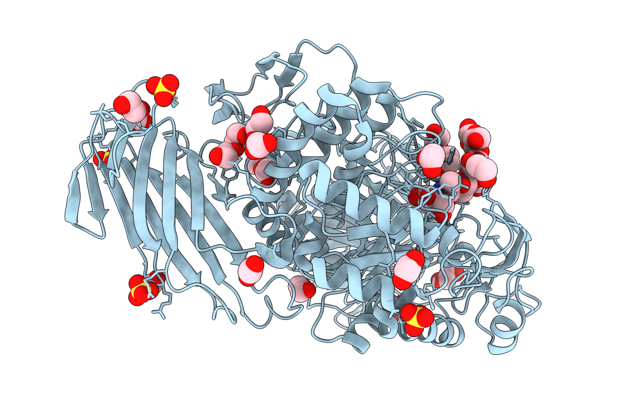 4B9Z image