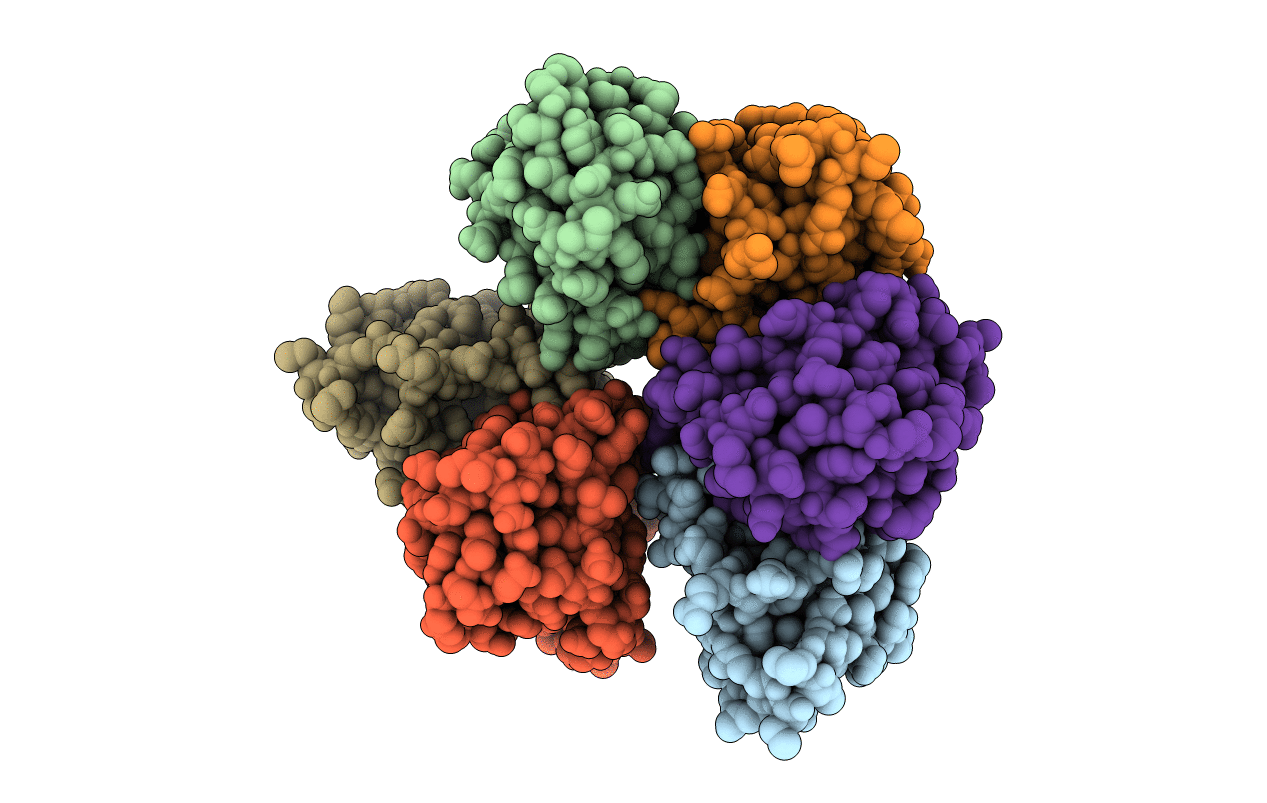 4BBC image